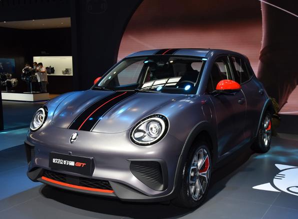 欧拉好猫燃烧系统故障