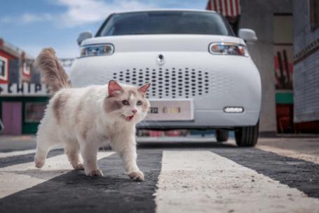 欧拉白猫电子油门失灵的5大原因及专业修复技巧（附解决方案）