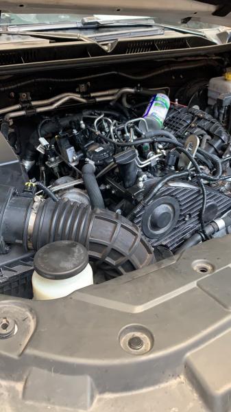 精灵驾驶视野优化