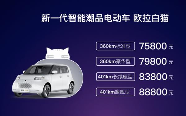 欧拉白猫欧拉汽车维修