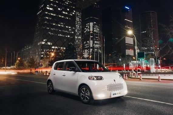 欧拉白猫DIY保养