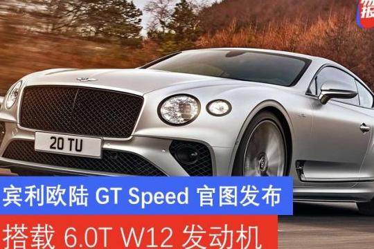 宾利欧陆GT故障分析
