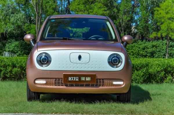 欧拉黑猫汽车维修必备工具