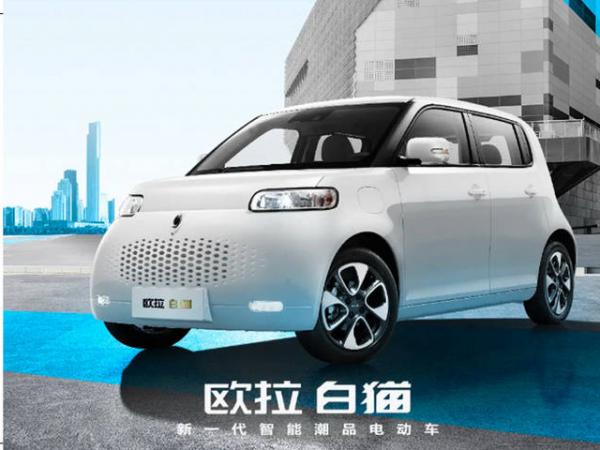 欧拉白猫油门故障