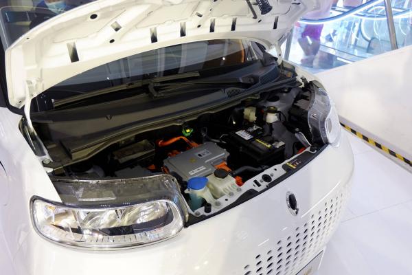 欧拉黑猫保养周期