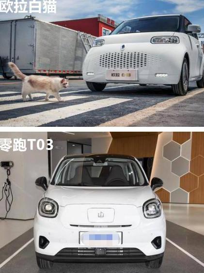 欧拉白猫电子油门维修