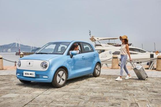 欧拉黑猫电动车故障诊断